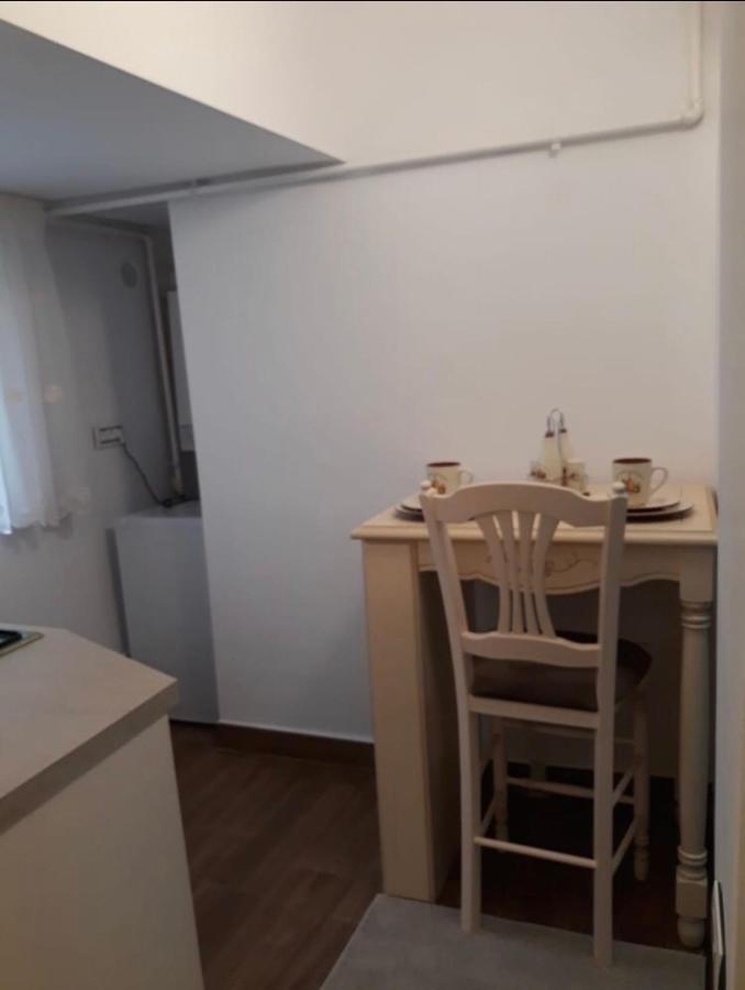 Appartement Garsoniera lux centru pietonal Tîrgu - Jiu à Târgu Jiu Extérieur photo